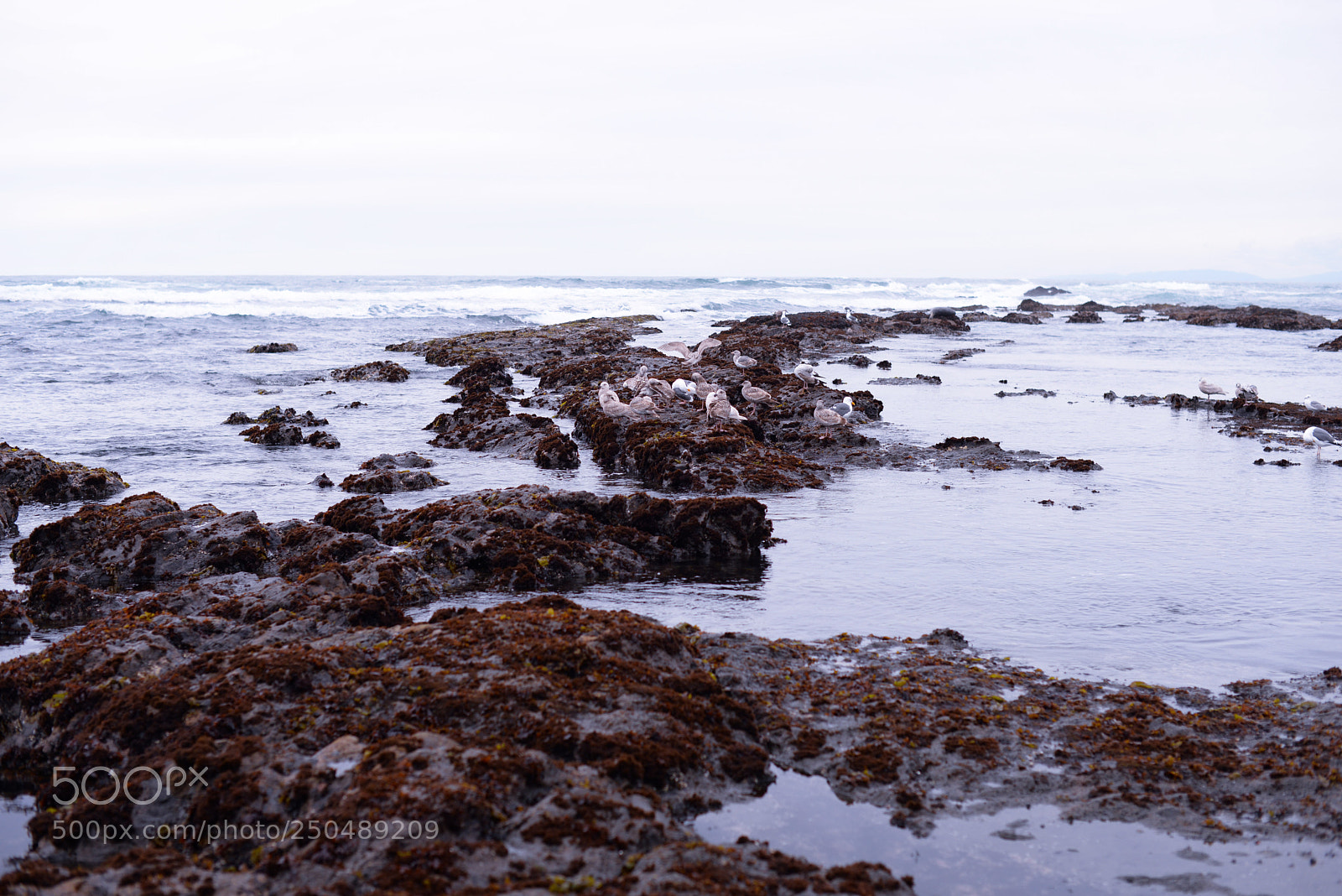 Nikon D610 sample photo. Untitled photography