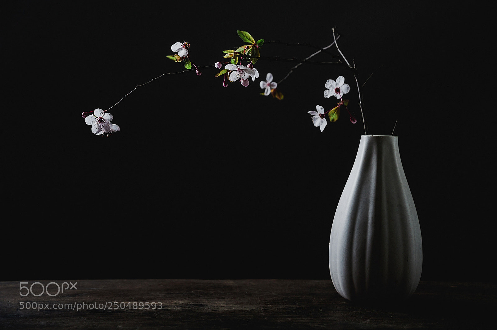 Nikon D700 sample photo. Prunus cerasifera photography