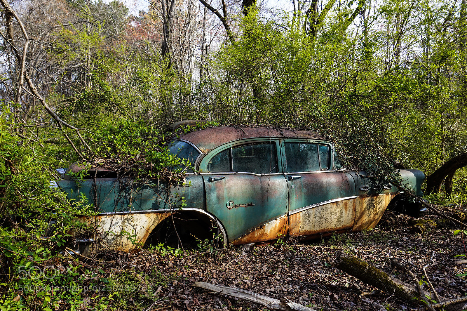Sony Alpha a5000 (ILCE 5000) sample photo. Old car graveyard photography