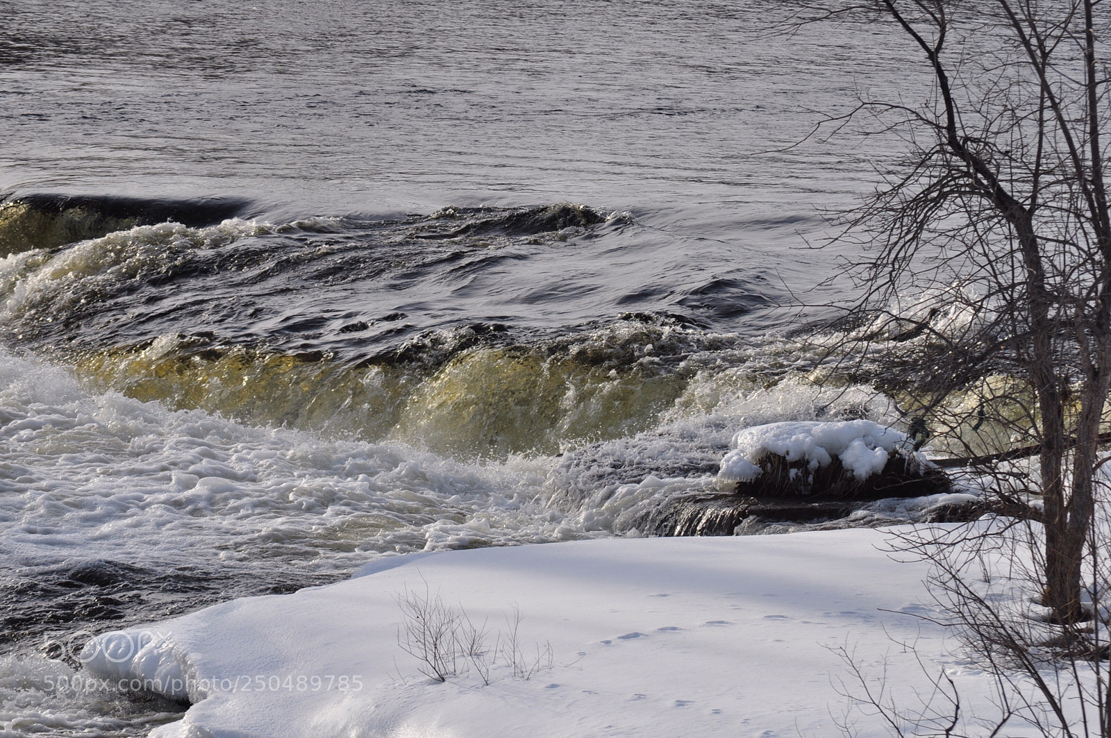 Nikon D5000 sample photo. Spring has sprung photography