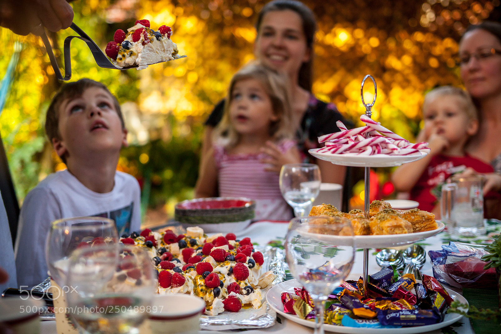 Canon EOS 500D (EOS Rebel T1i / EOS Kiss X3) sample photo. Pavlova at christmas photography