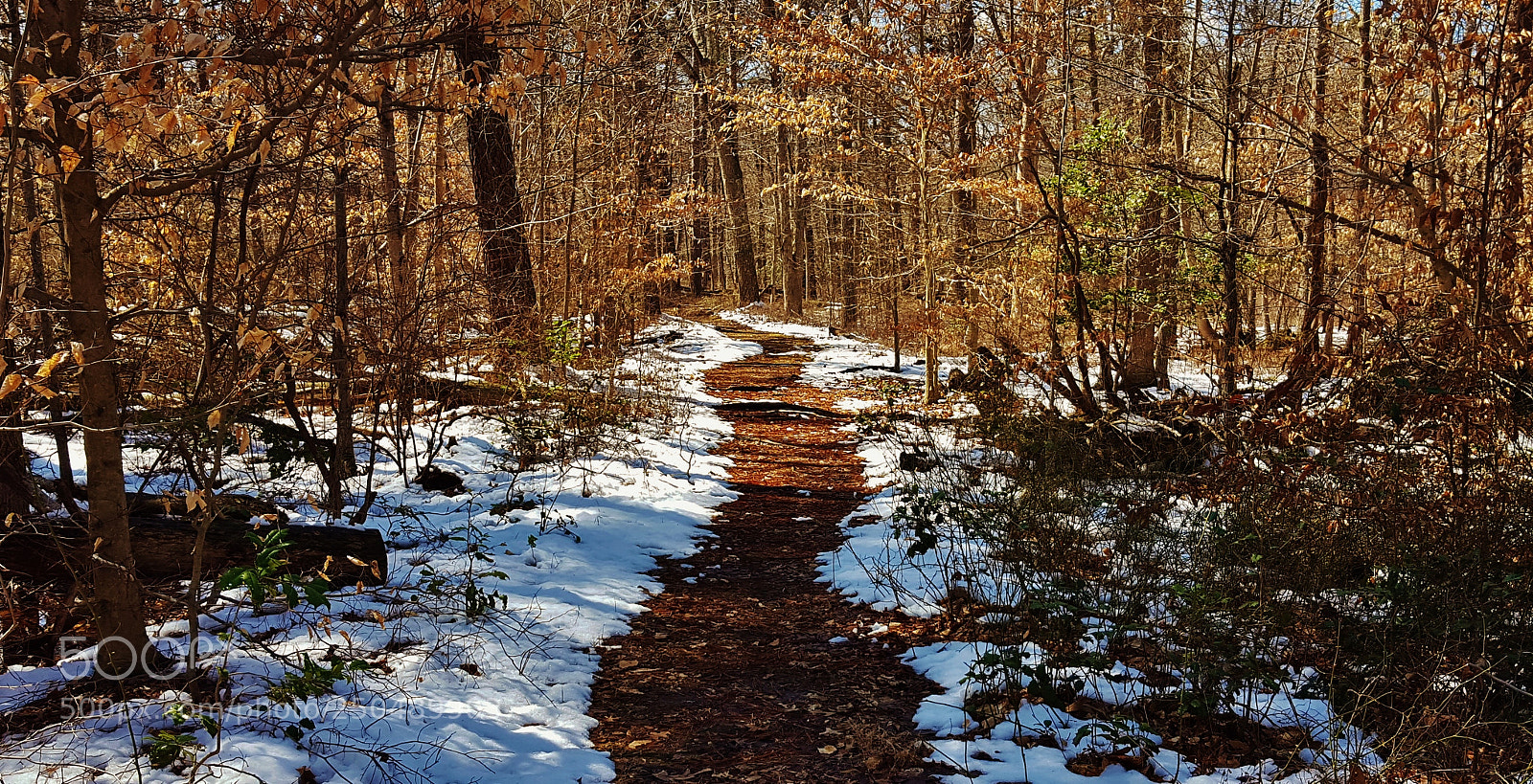 Samsung Galaxy S6 sample photo. Fire road trail 2018 photography
