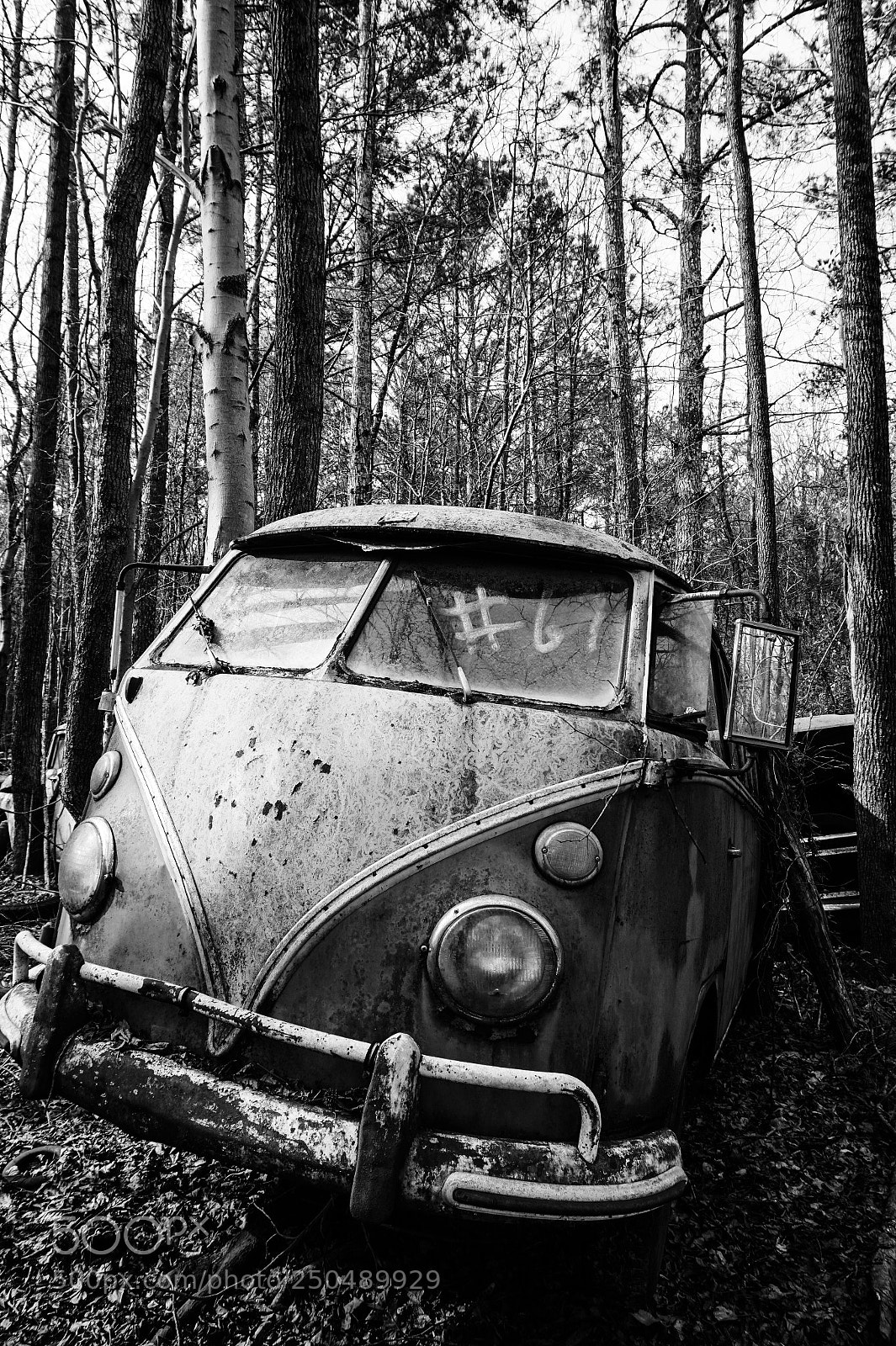 Sony Alpha a5000 (ILCE 5000) sample photo. Old car graveyard - 2 photography