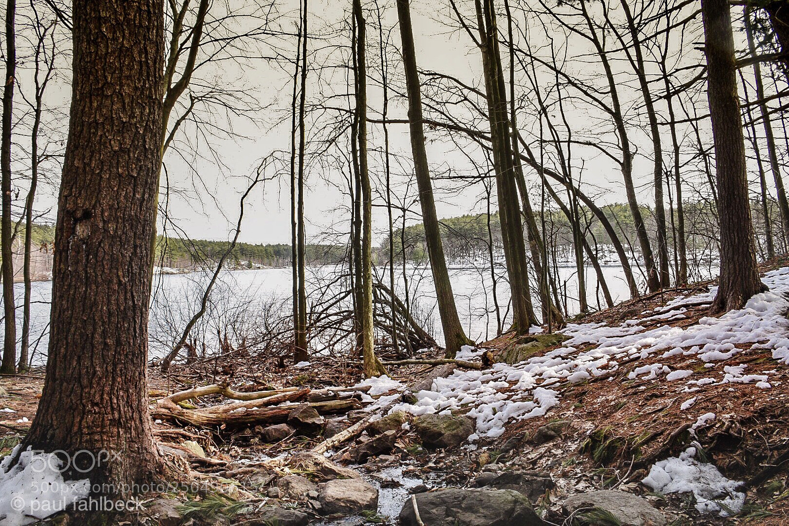 Nikon D7200 sample photo. Melting photography