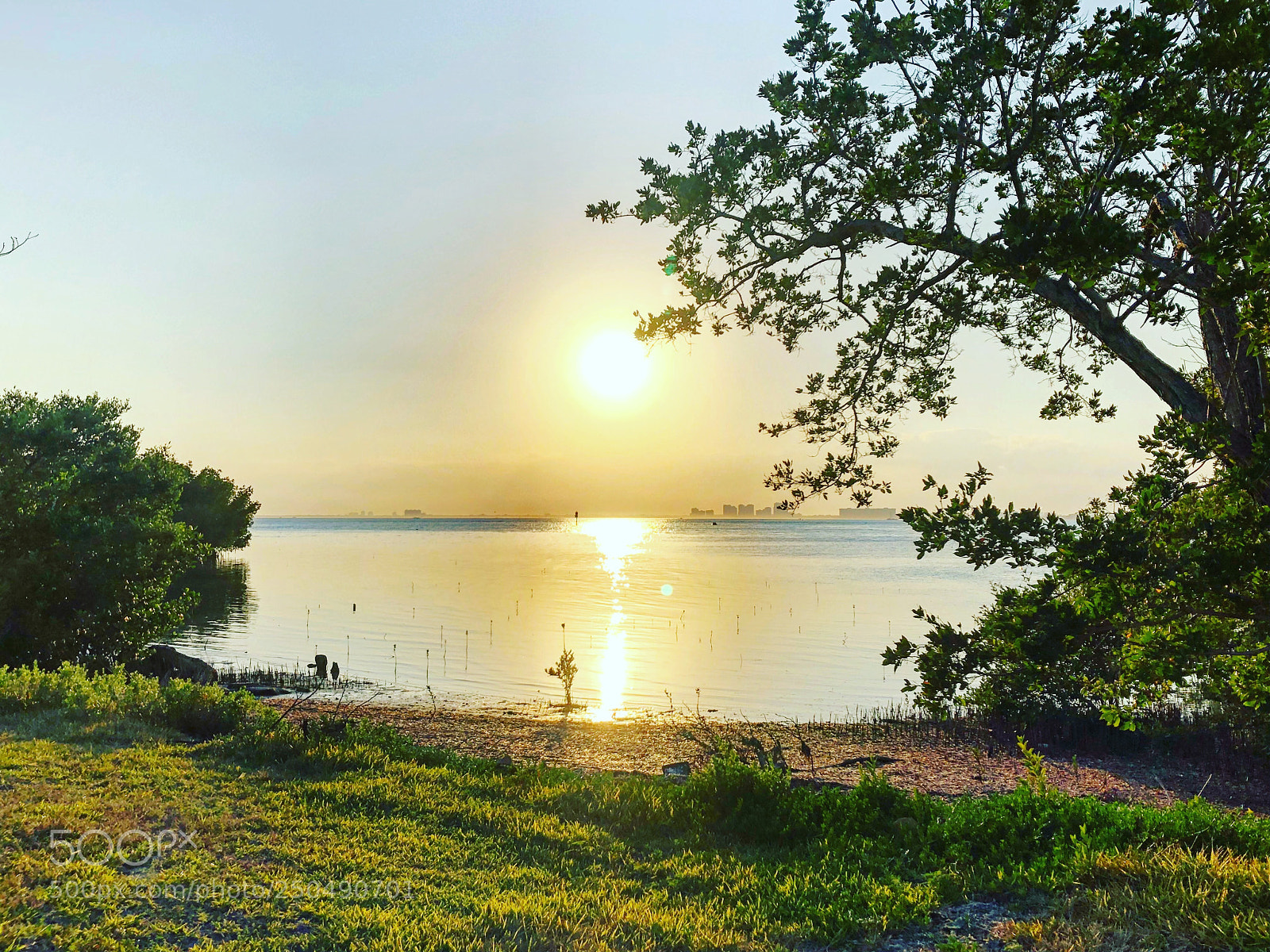 Apple iPhone 8 Plus sample photo. Sunset photography