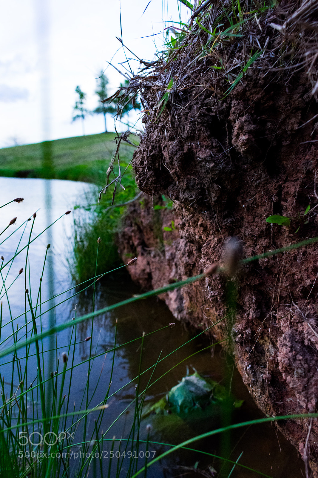 Nikon D3400 sample photo. Untitled photography