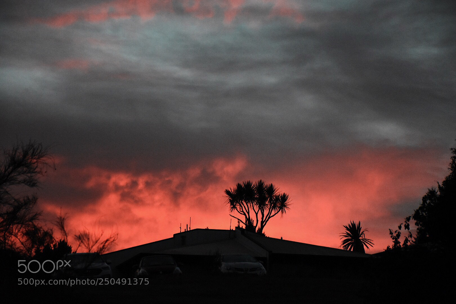 Nikon D7200 sample photo. Fiordland sunrise photography