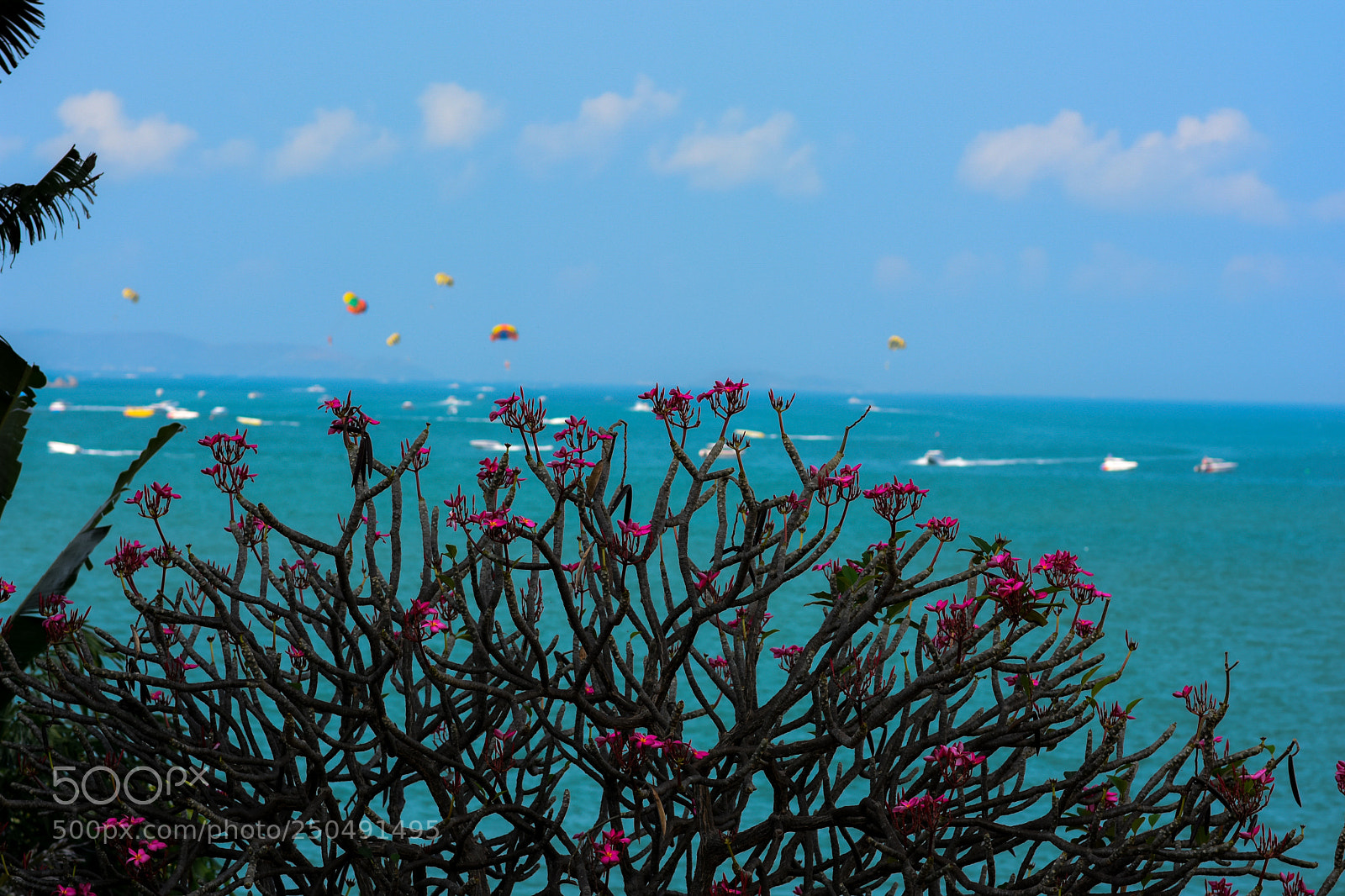 Nikon D7200 sample photo. Coastline photography