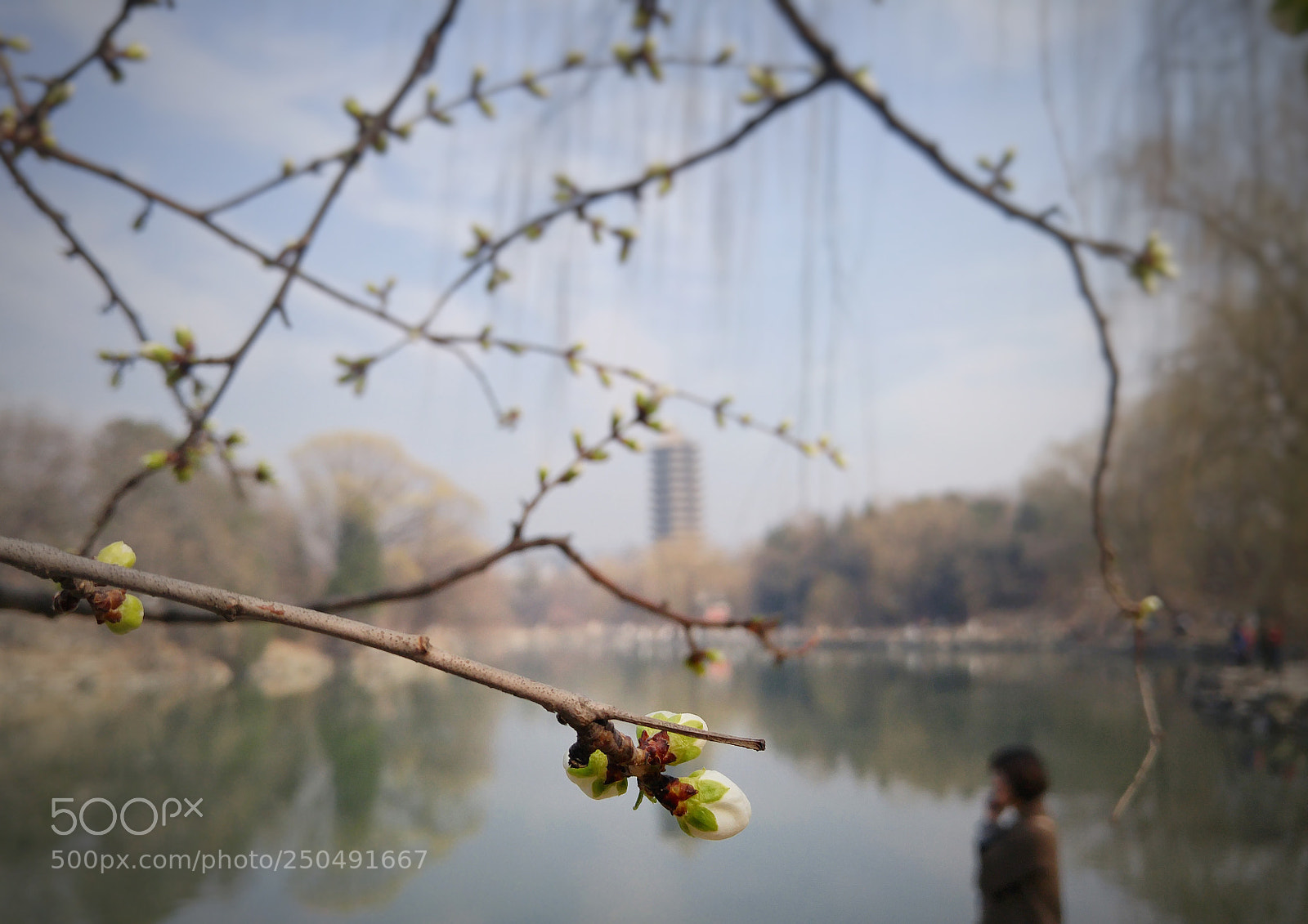 LG G4 sample photo. Untitled photography