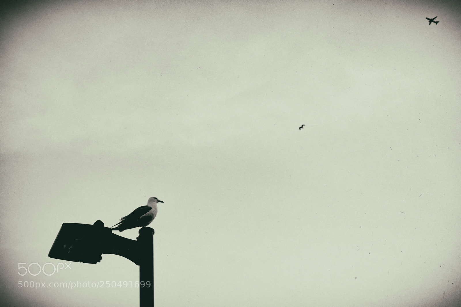 Nikon D7100 sample photo. Untitled photography