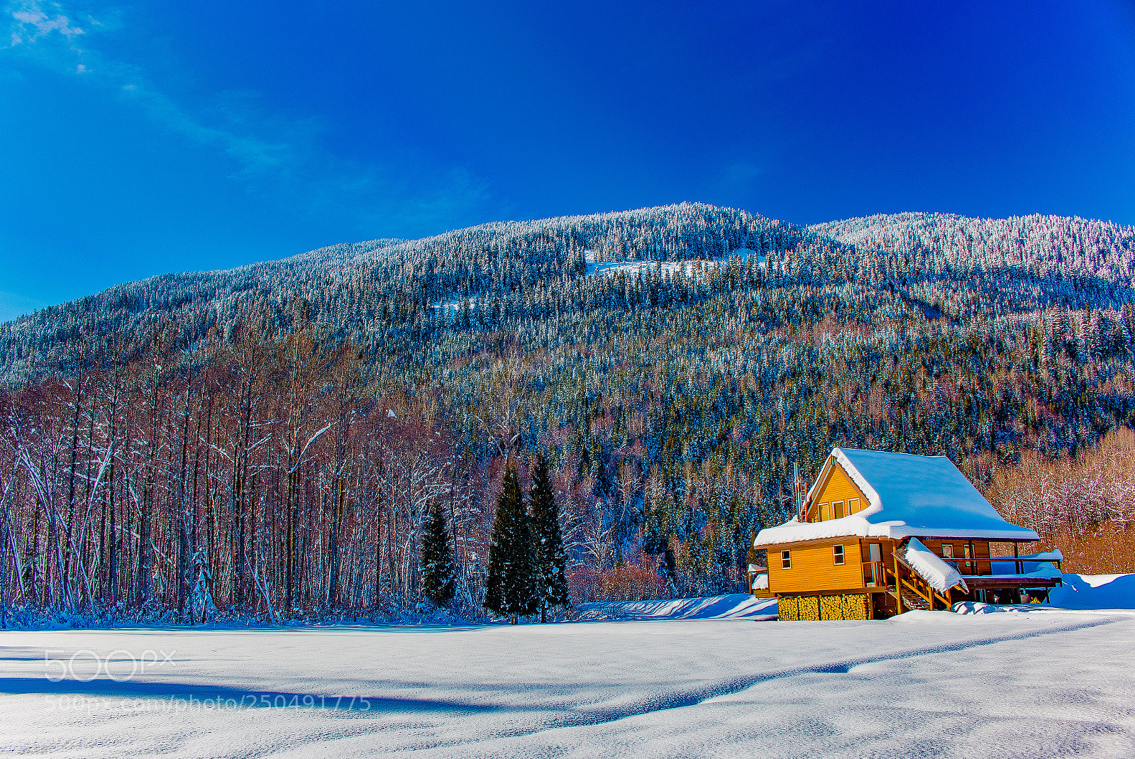 Canon EOS 70D sample photo. Snowy cabin photography