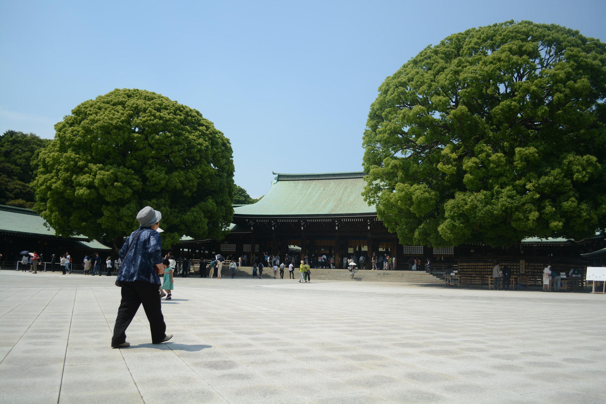 Nikon D7100 sample photo. Samp photography