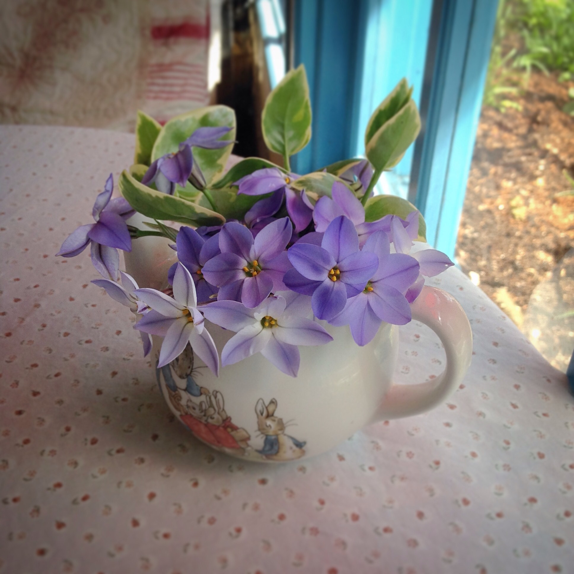 Apple iPad sample photo. Cueillir des fleurs bleues  photography