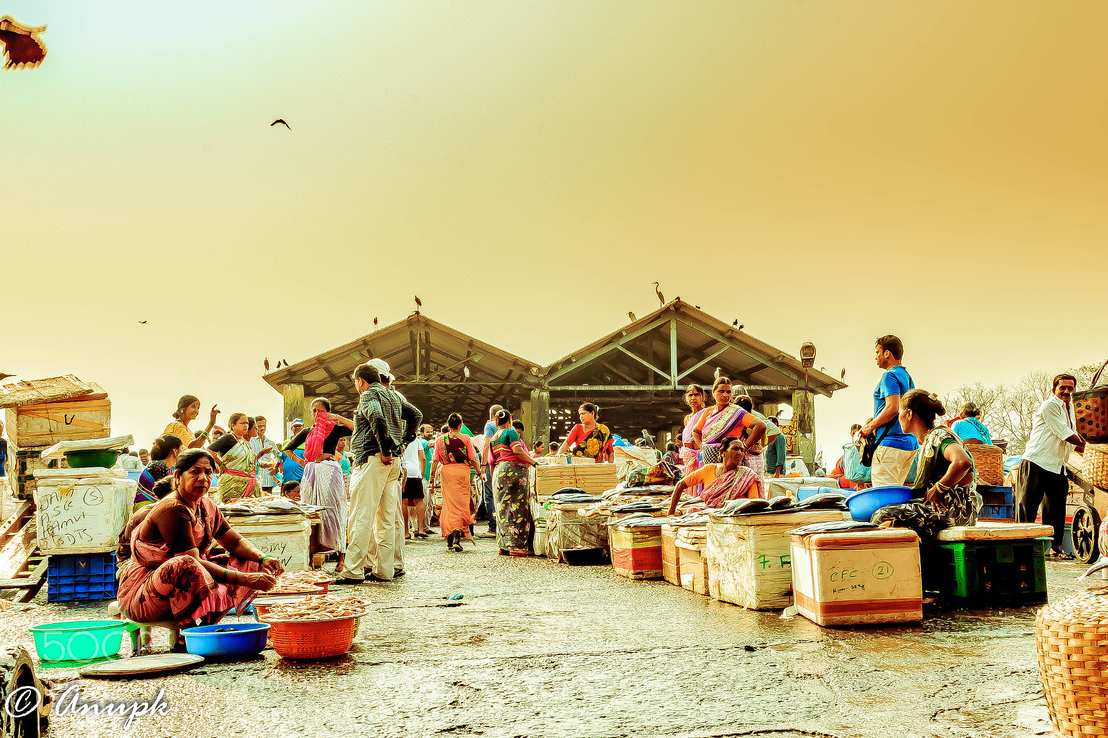 Canon EOS 70D sample photo. Fishing dock photography