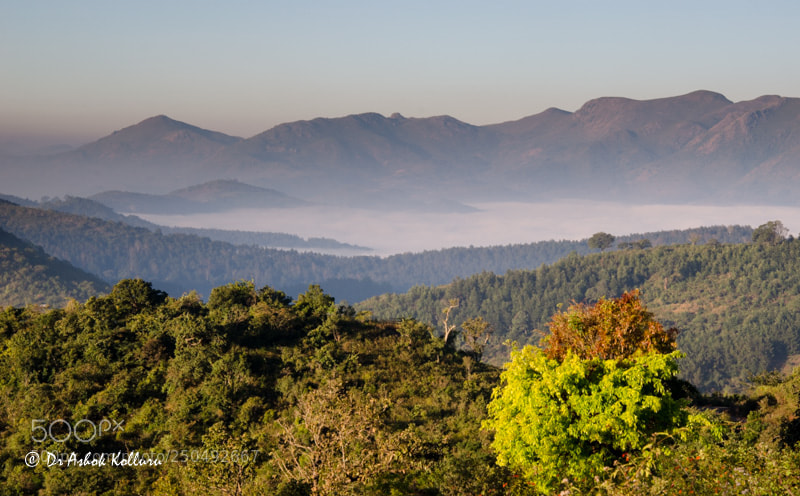 Nikon D5100 sample photo. Fog filled valley photography