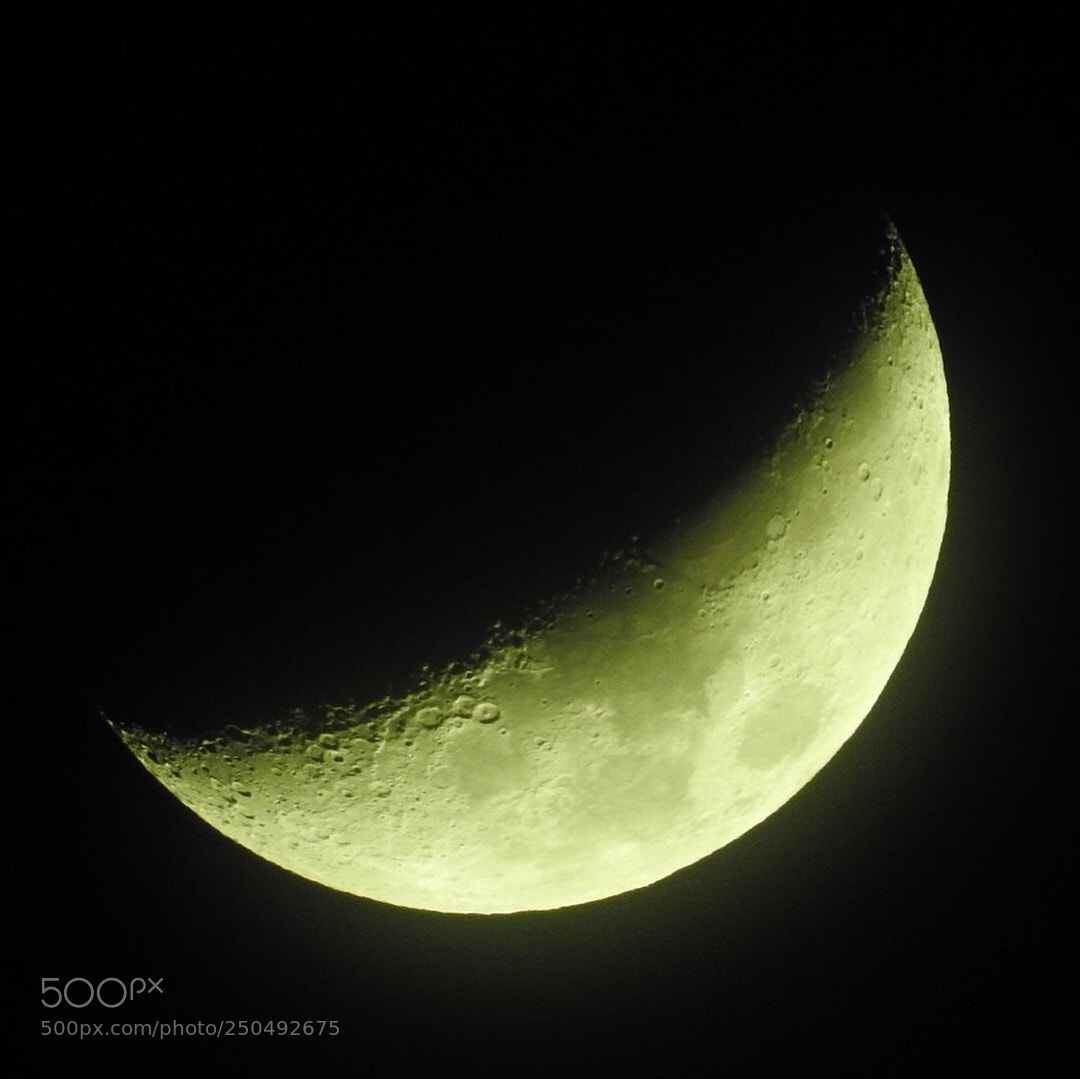 Nikon Coolpix P900 sample photo. Moon - 3/22/18 photography