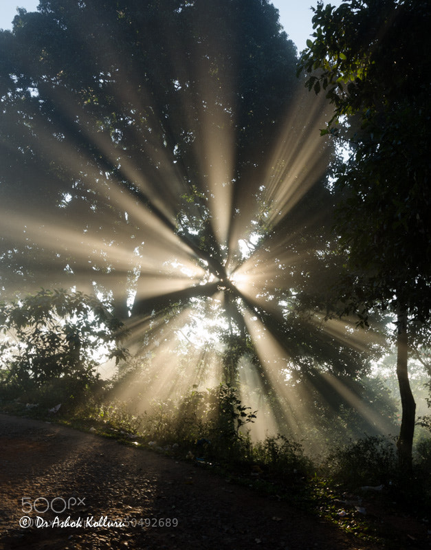 Nikon D5100 sample photo. Crepuscular rays photography