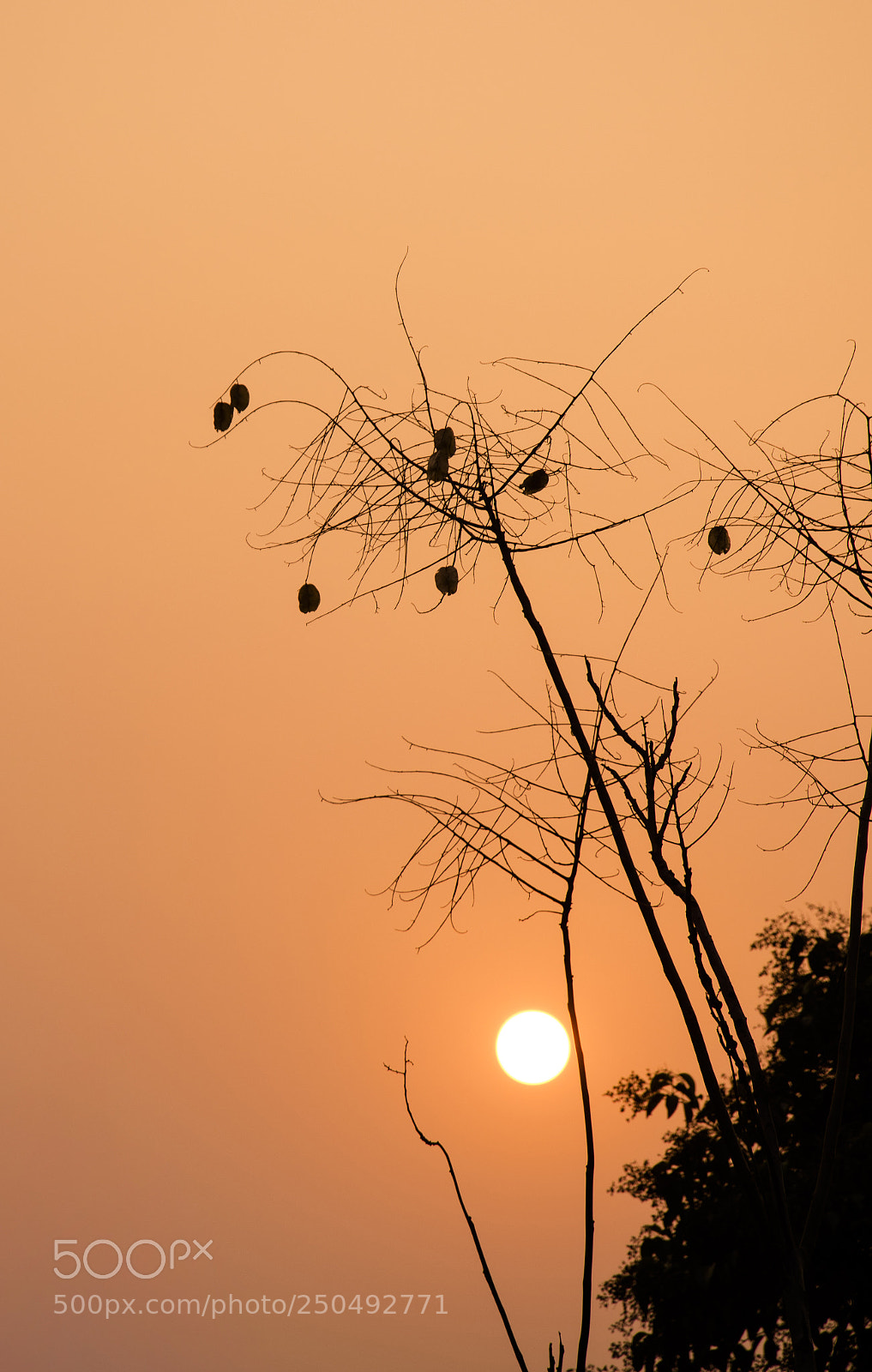 Nikon D5300 sample photo. Sundown photography