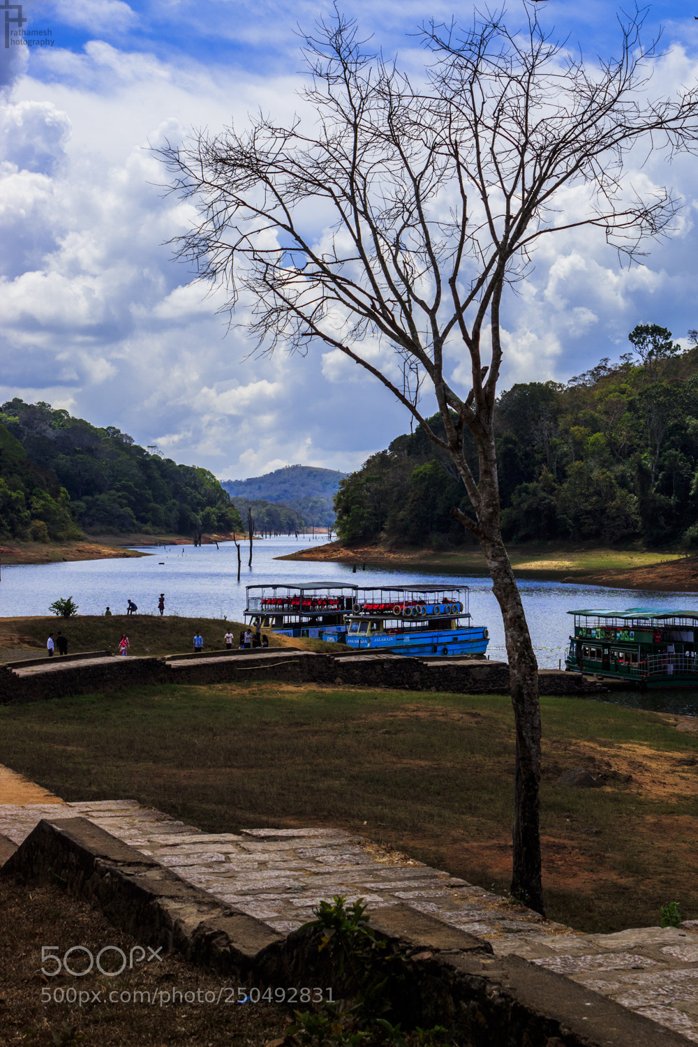 Canon EOS 1300D (EOS Rebel T6 / EOS Kiss X80) sample photo. Periyyar national park photography