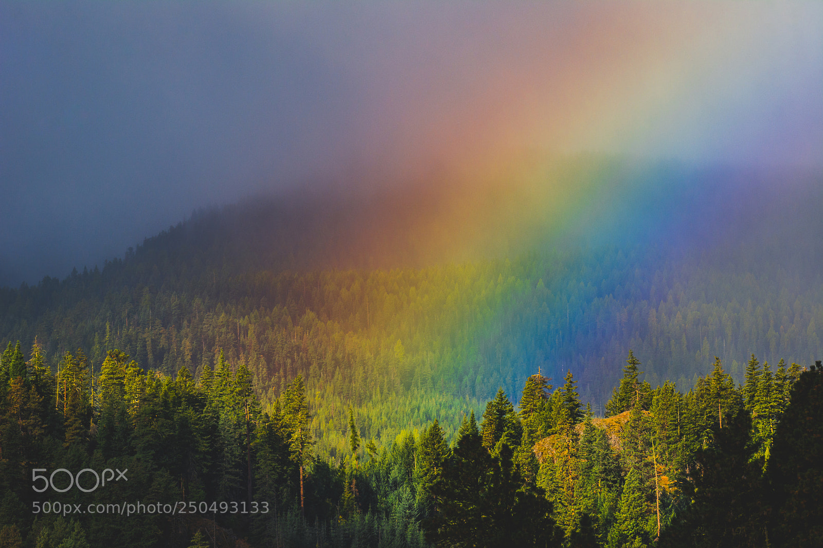Nikon D7100 sample photo. Foggy rainbow photography