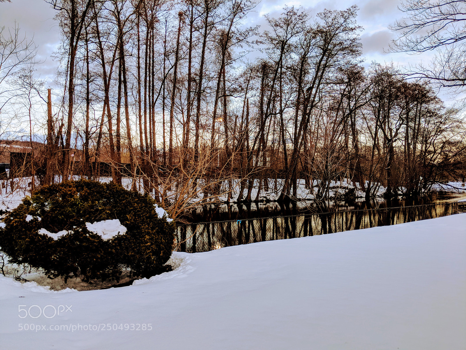 Google Pixel 2 XL sample photo. Untitled photography