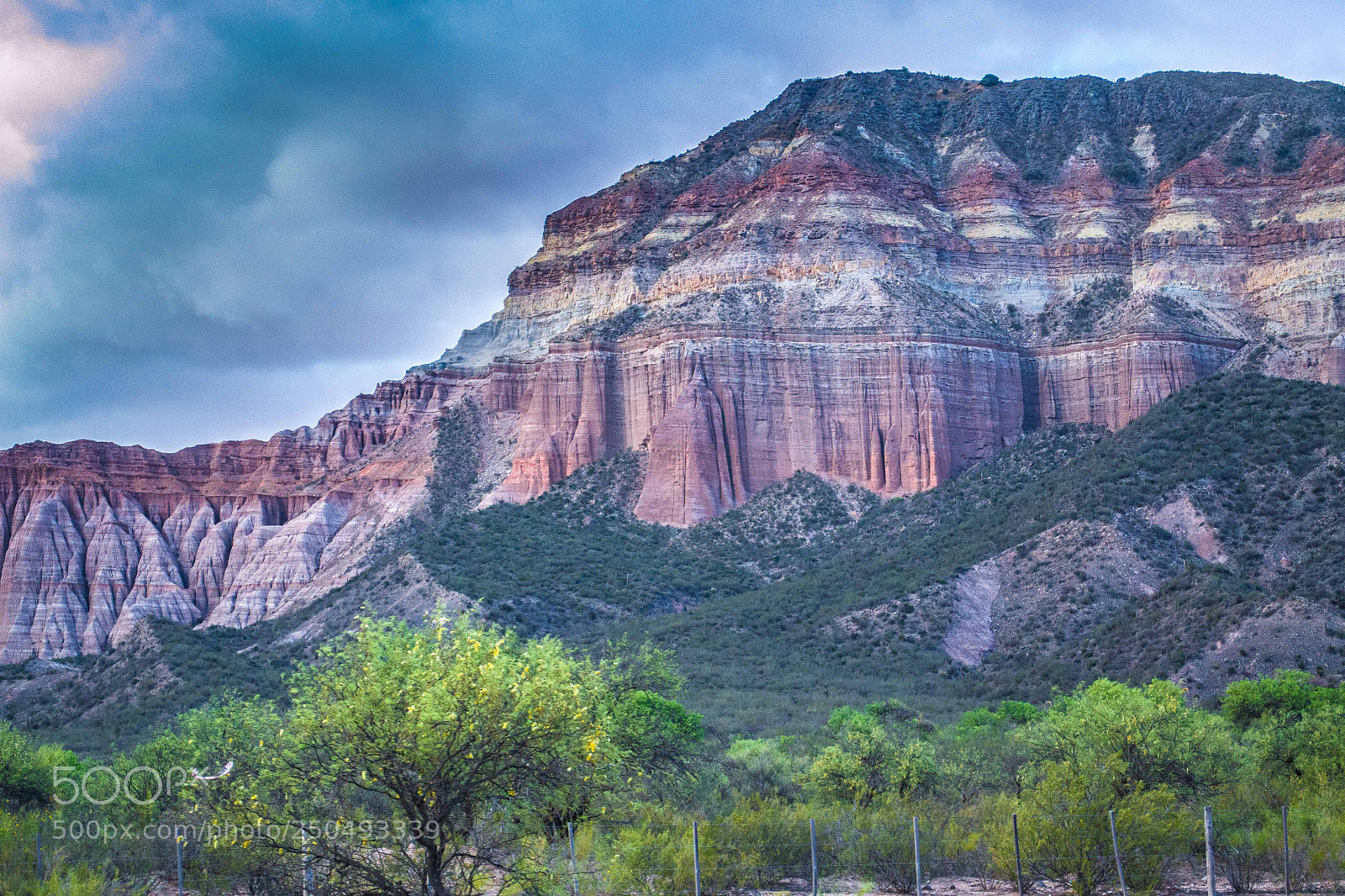 Nikon D3100 sample photo. La rioja - argentina photography