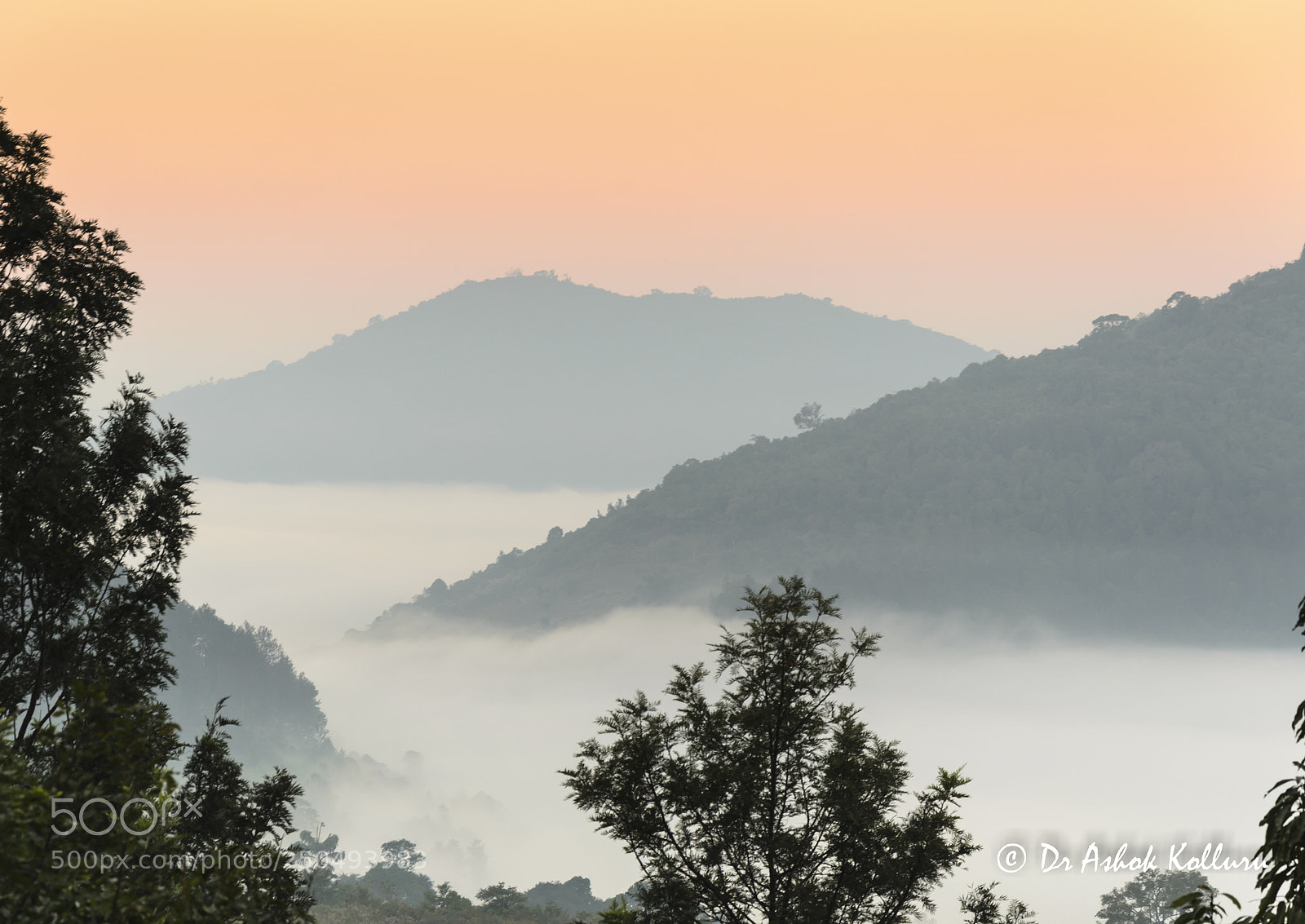 Nikon D5100 sample photo. Golden hour at dallapalli photography