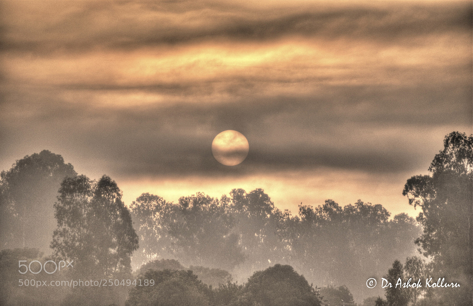 Nikon D60 sample photo. Winter sunrise at araku photography