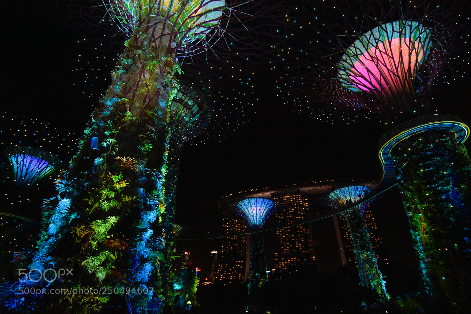 Nikon D7200 sample photo. Lights photography