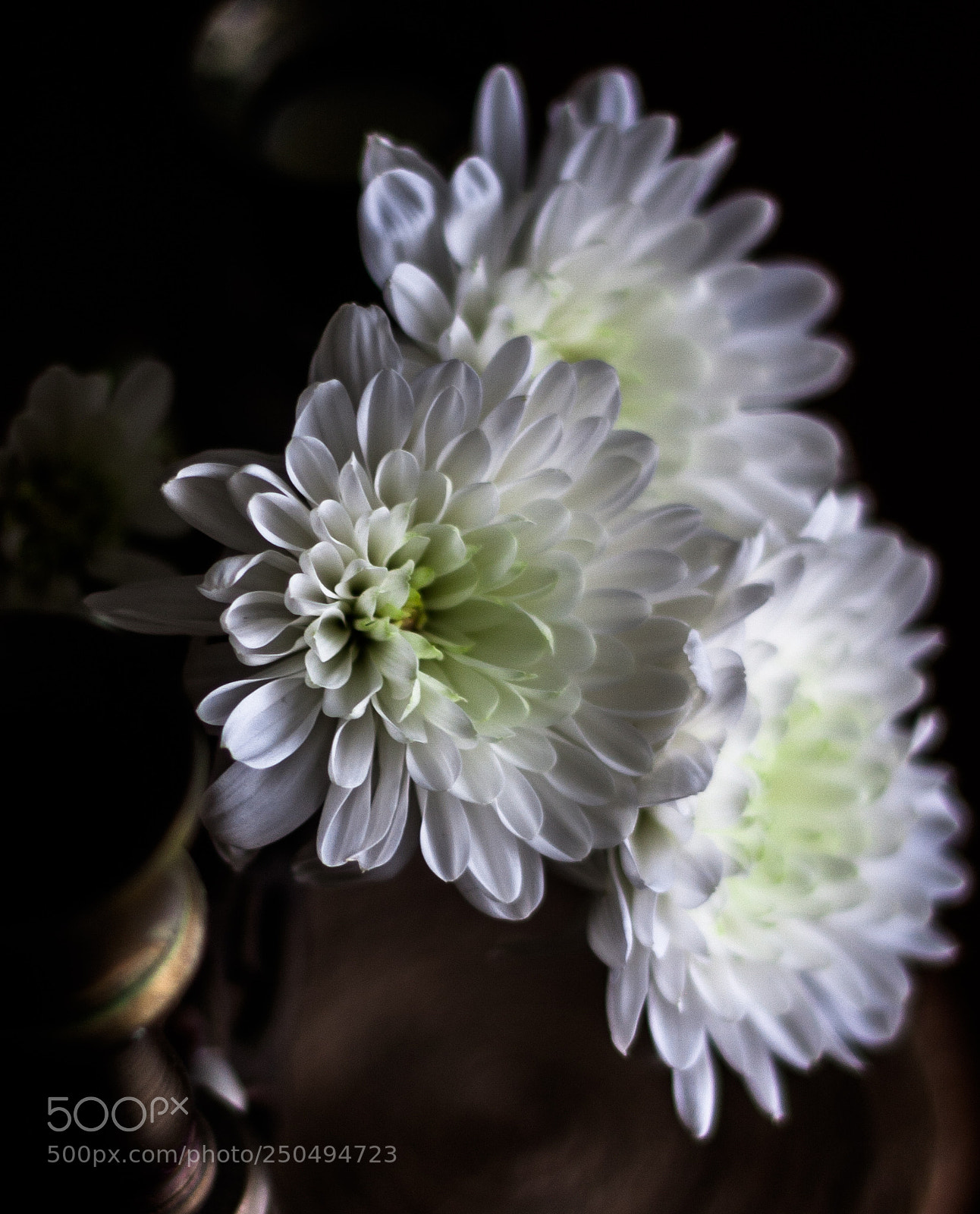 Canon EOS 40D sample photo. Img photography
