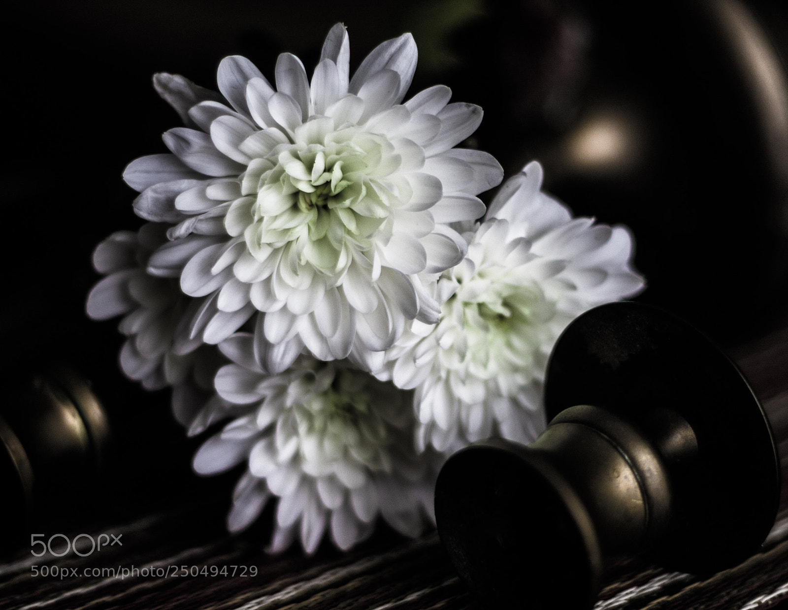 Canon EOS 40D sample photo. Img photography