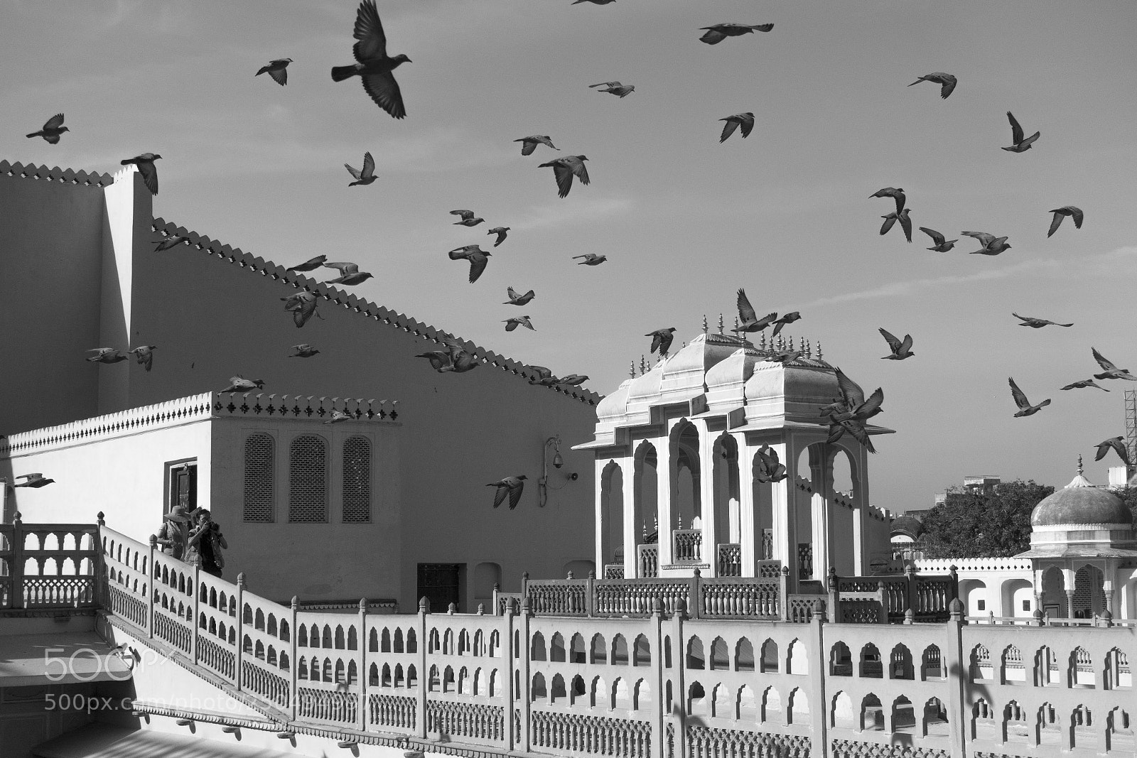 Sony DSC-RX100M5 sample photo. The pigeons in architecture photography