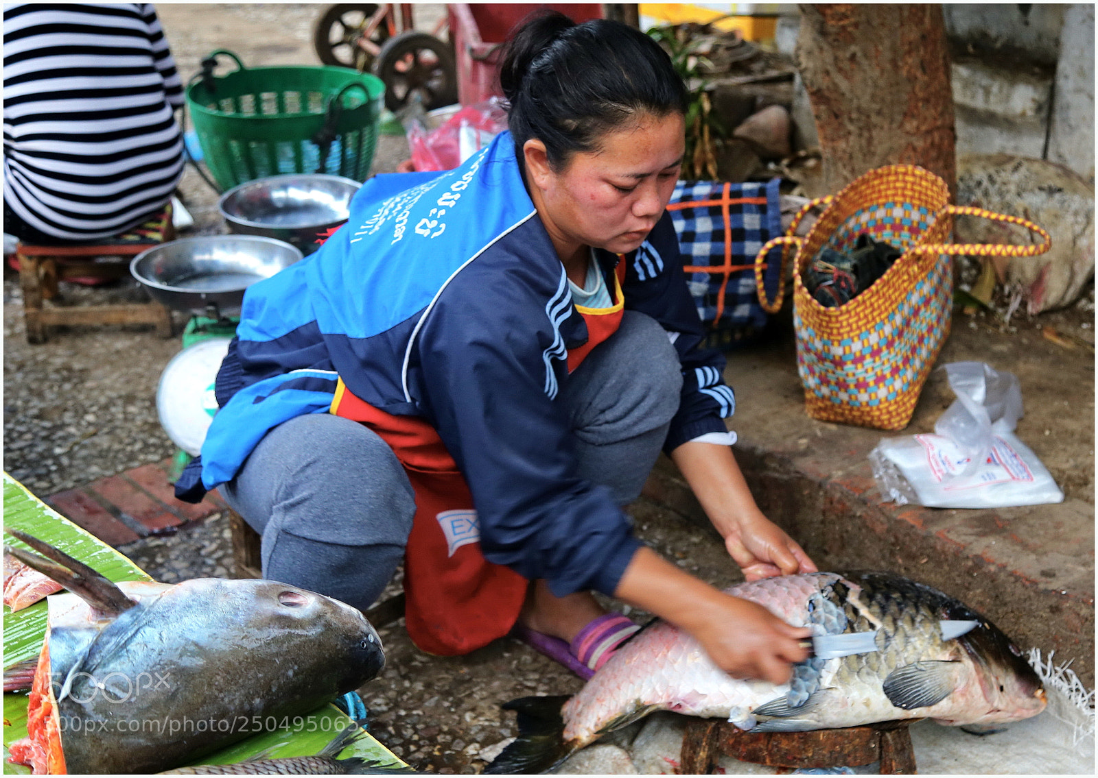 Canon EOS 6D + Canon EF 24-105mm F4L IS USM sample photo. Fishmonger at the morning photography