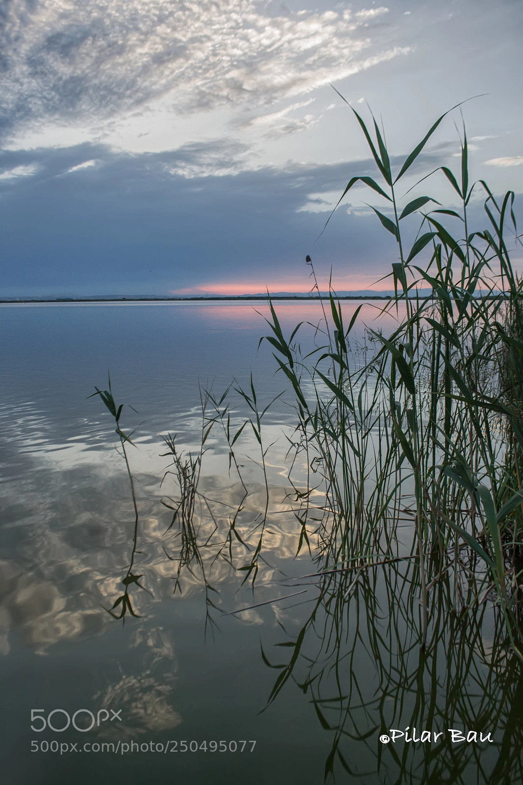 Nikon D3100 sample photo. Reflejos ii photography