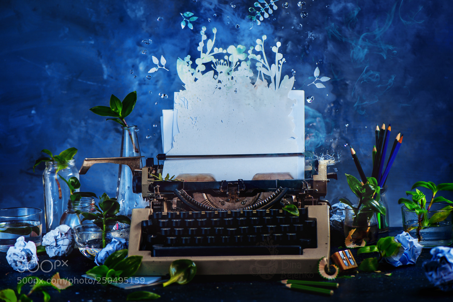 Nikon D800 sample photo. Words of spring photography