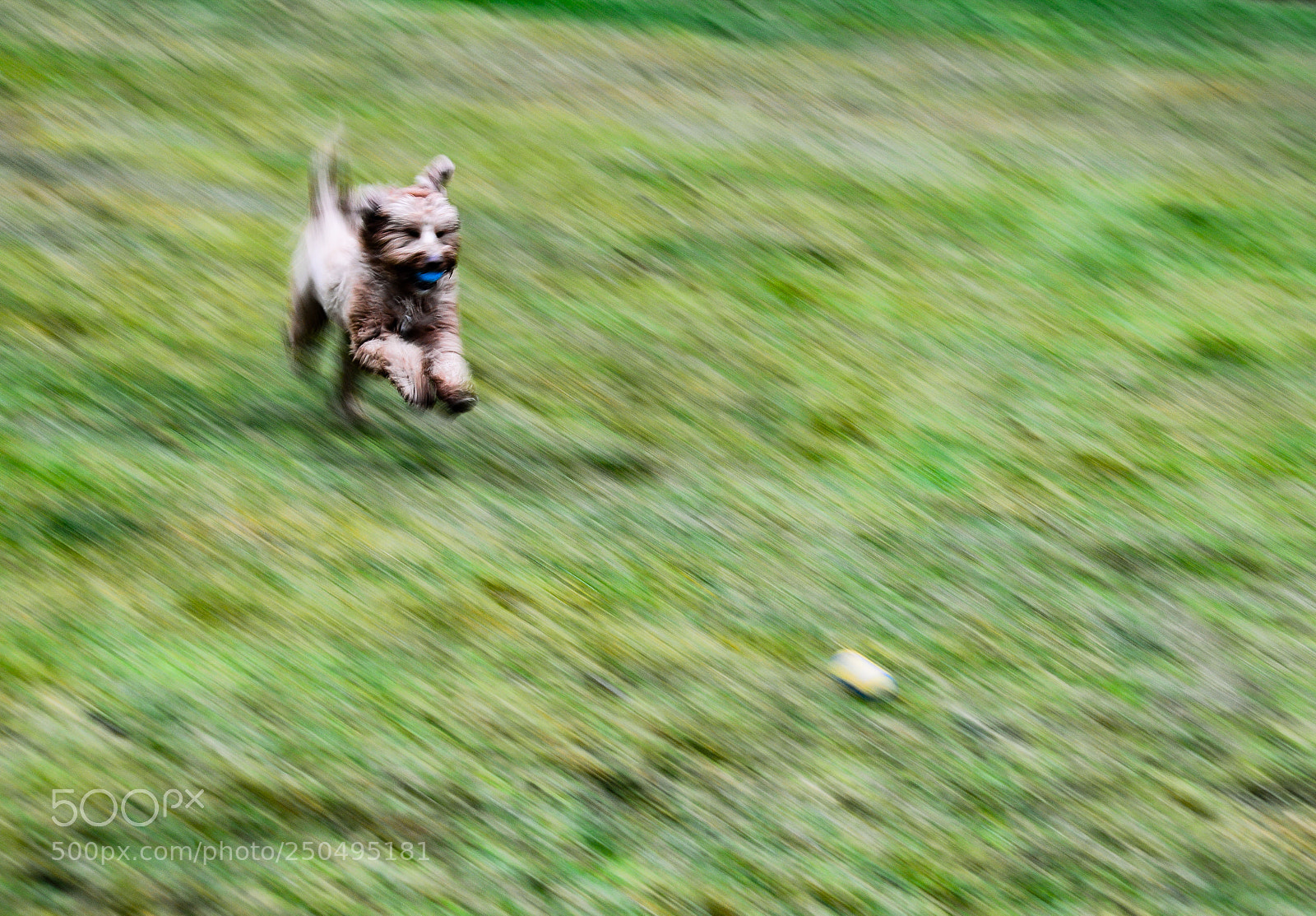 Nikon D3200 sample photo. It's a blurr photography