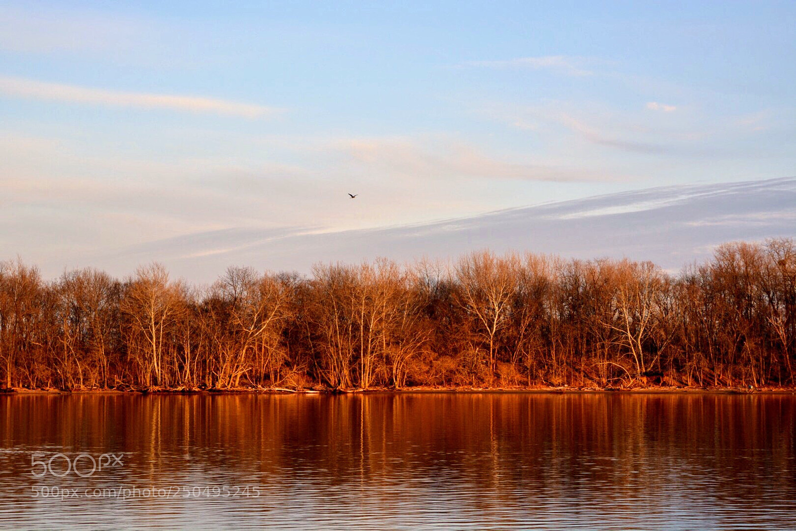 Nikon D5200 sample photo. Golden hour photography