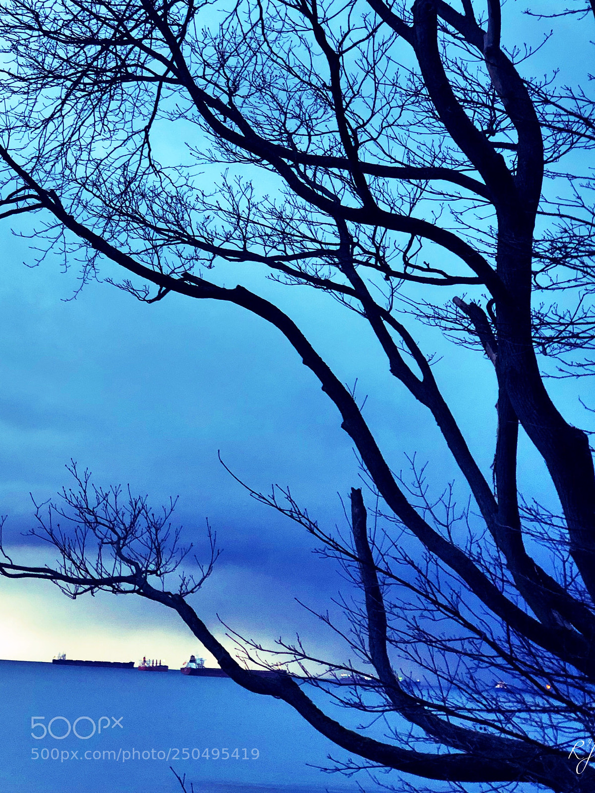 Apple iPhone X sample photo. Blue moon3 photography