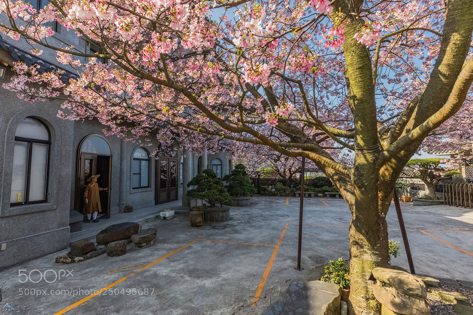 Canon EOS 5D Mark IV sample photo. 雲哥說：走進你生命中的每一個人都不會是刻意安排,而是你肯花時間去等待 photography