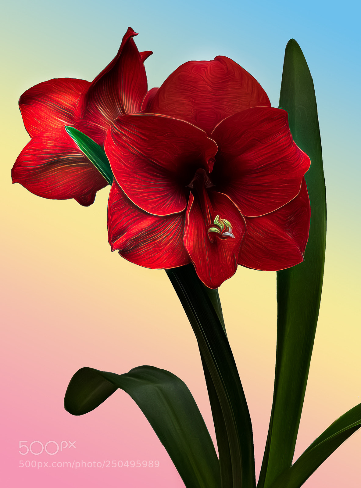 Canon EOS 5DS R sample photo. Flower photography