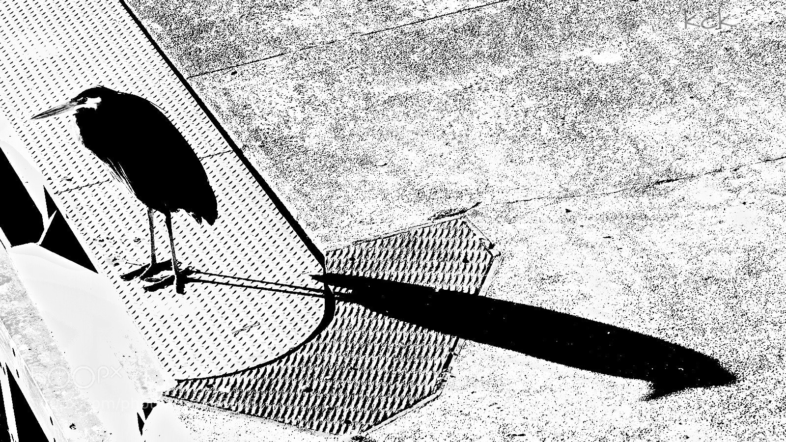 Olympus OM-D E-M10 II sample photo. Shadow & patterns. photography