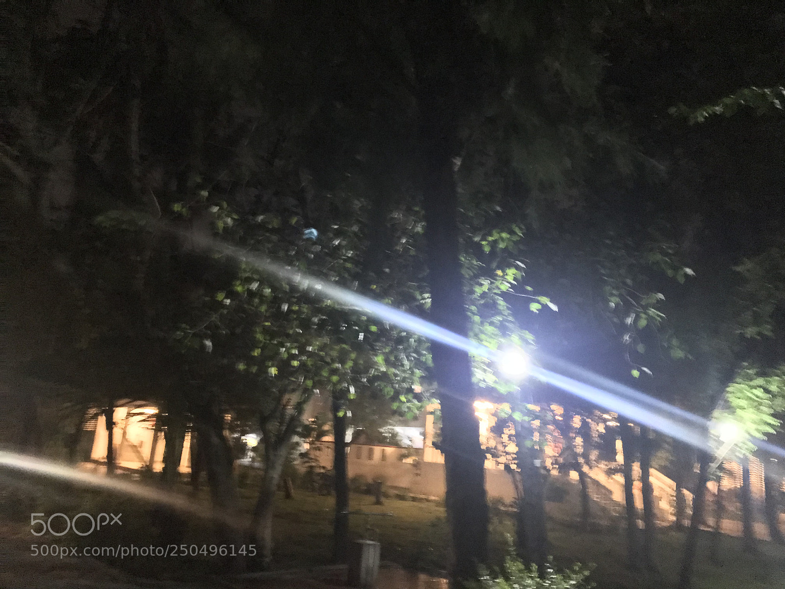 Apple iPhone 7 Plus sample photo. Untitled photography