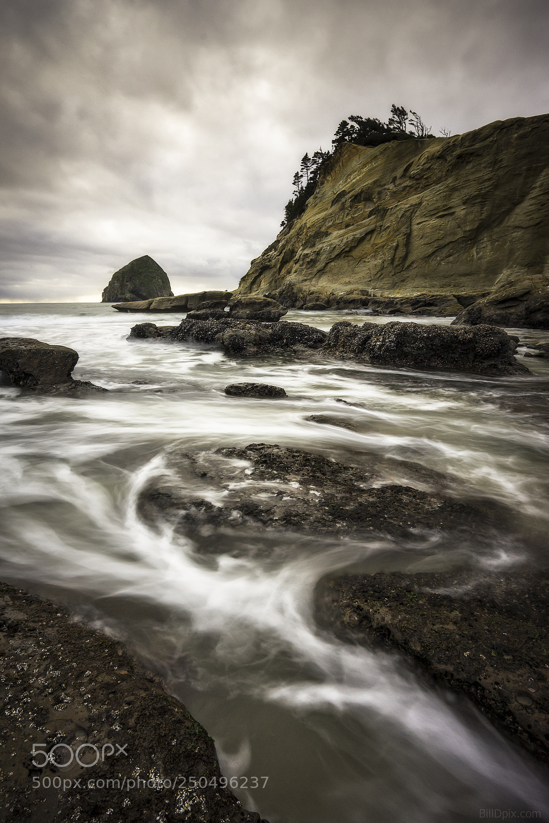 Sony a7R sample photo. Cape kiwanda photography