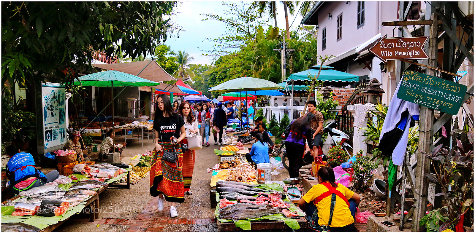 Canon EOS 6D + Canon EF 24-105mm F4L IS USM sample photo. Morning market luang prabang photography