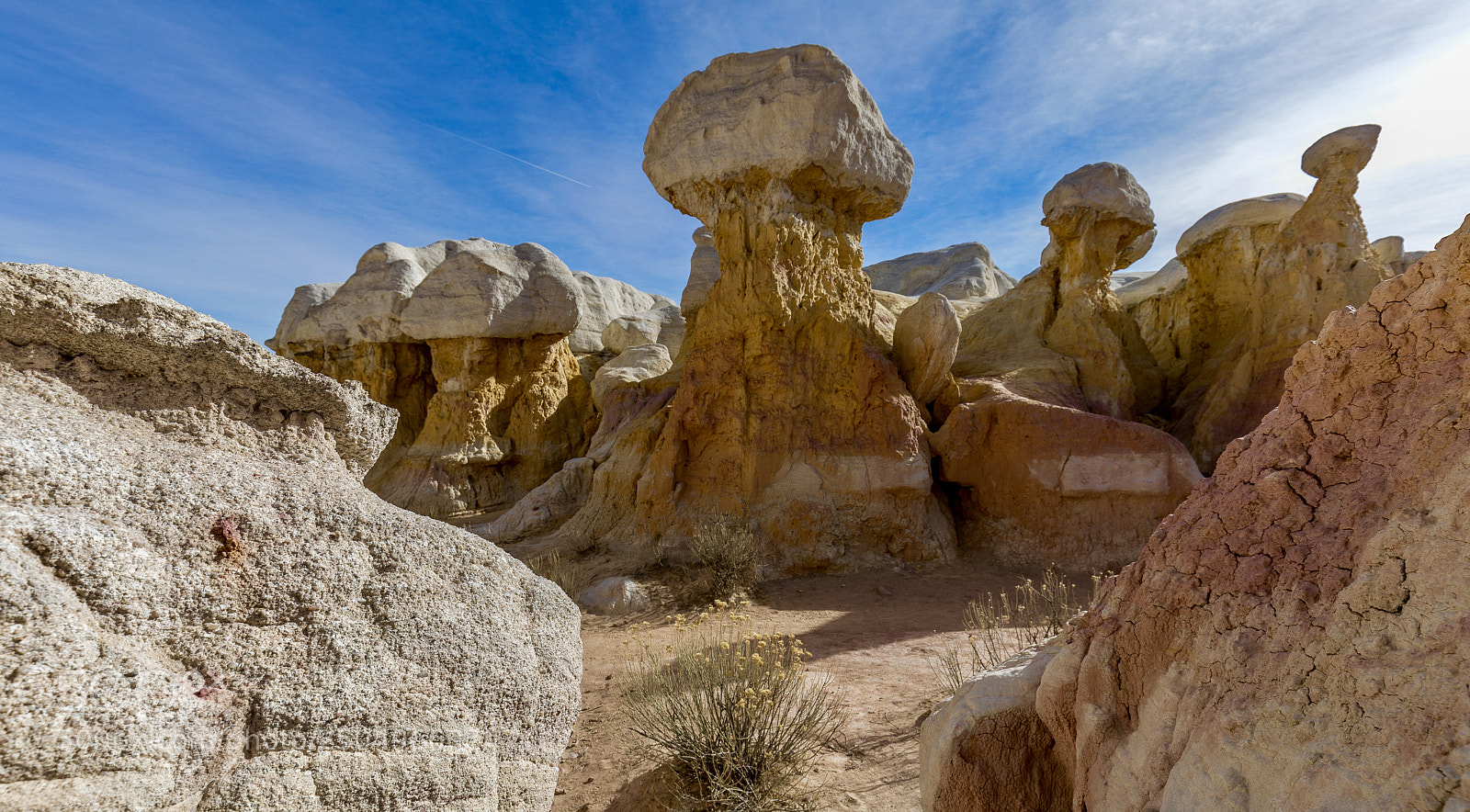 Canon EOS 5D Mark IV sample photo. Interpretive paint mines in photography