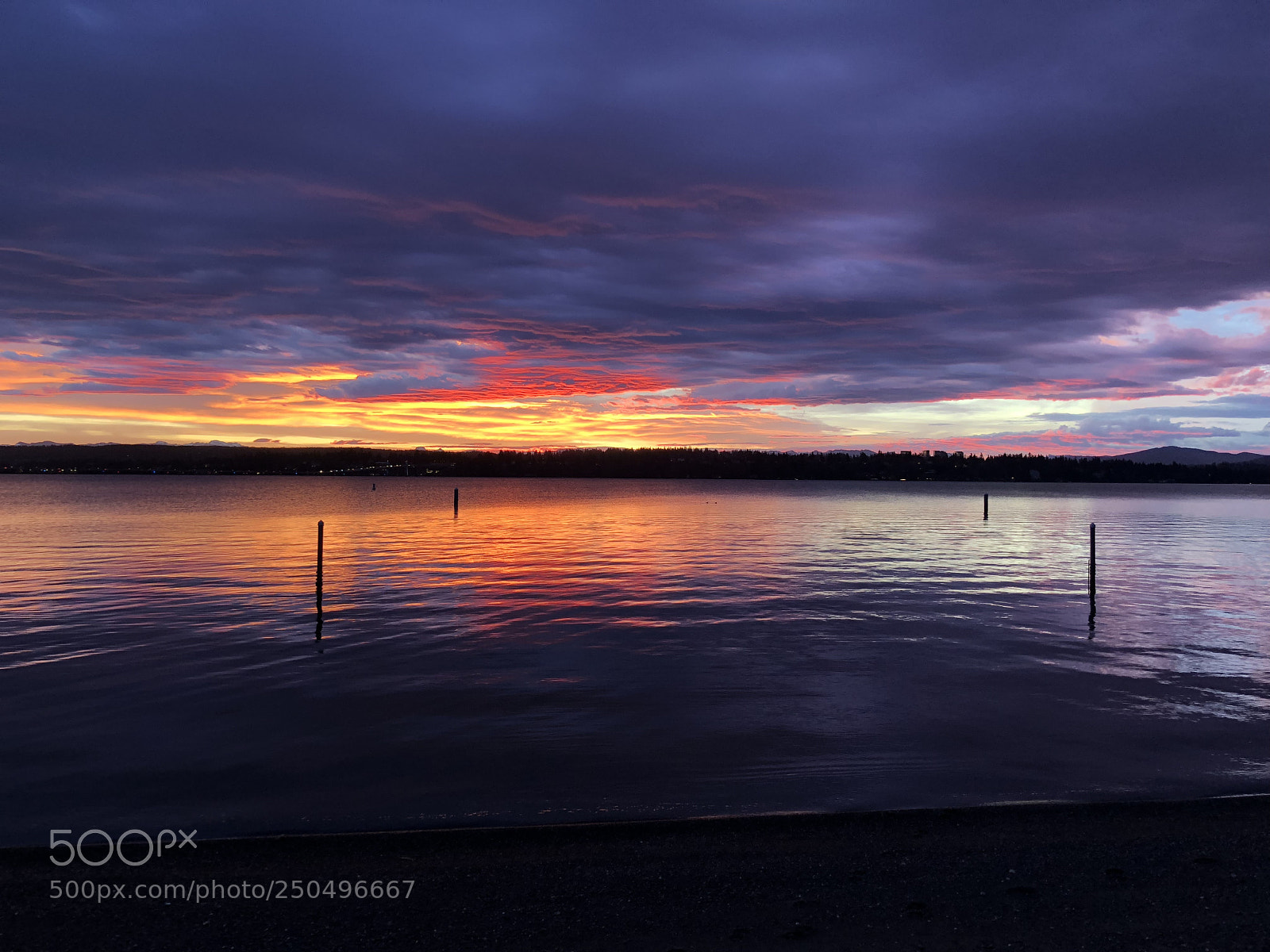Apple iPhone X sample photo. Sunrise on lake washington photography