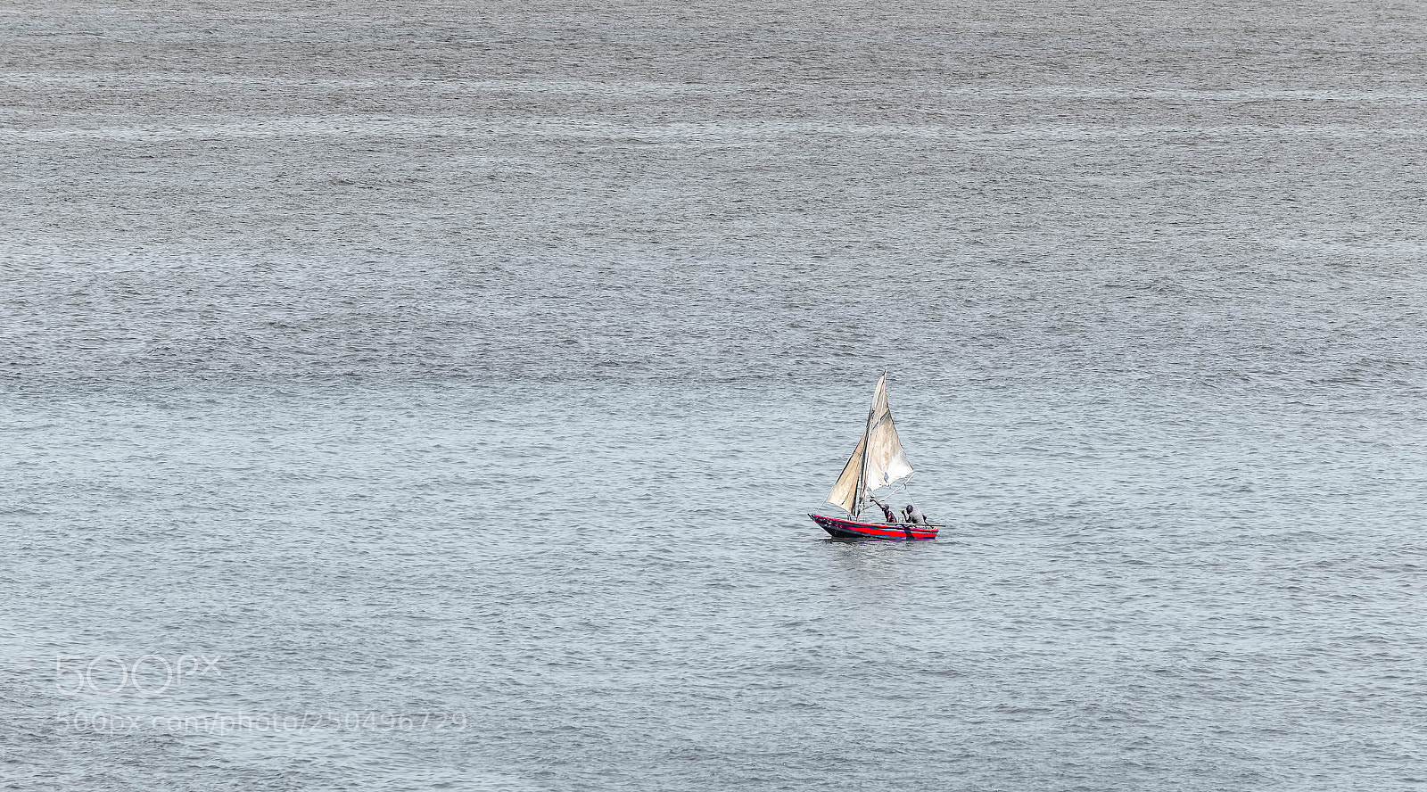 Nikon D500 sample photo. Cruising photography
