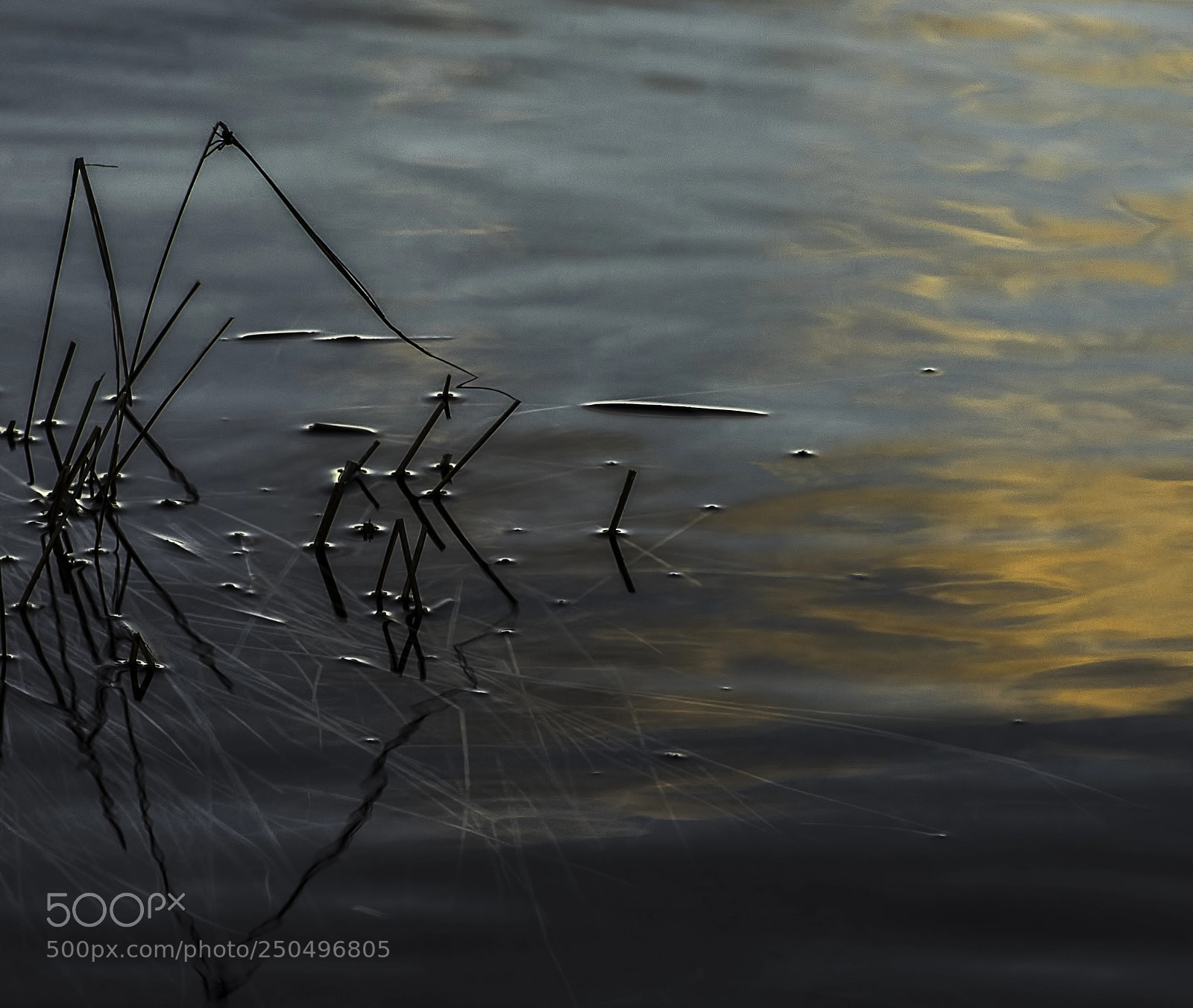 Sony a7R sample photo. Sunset photography