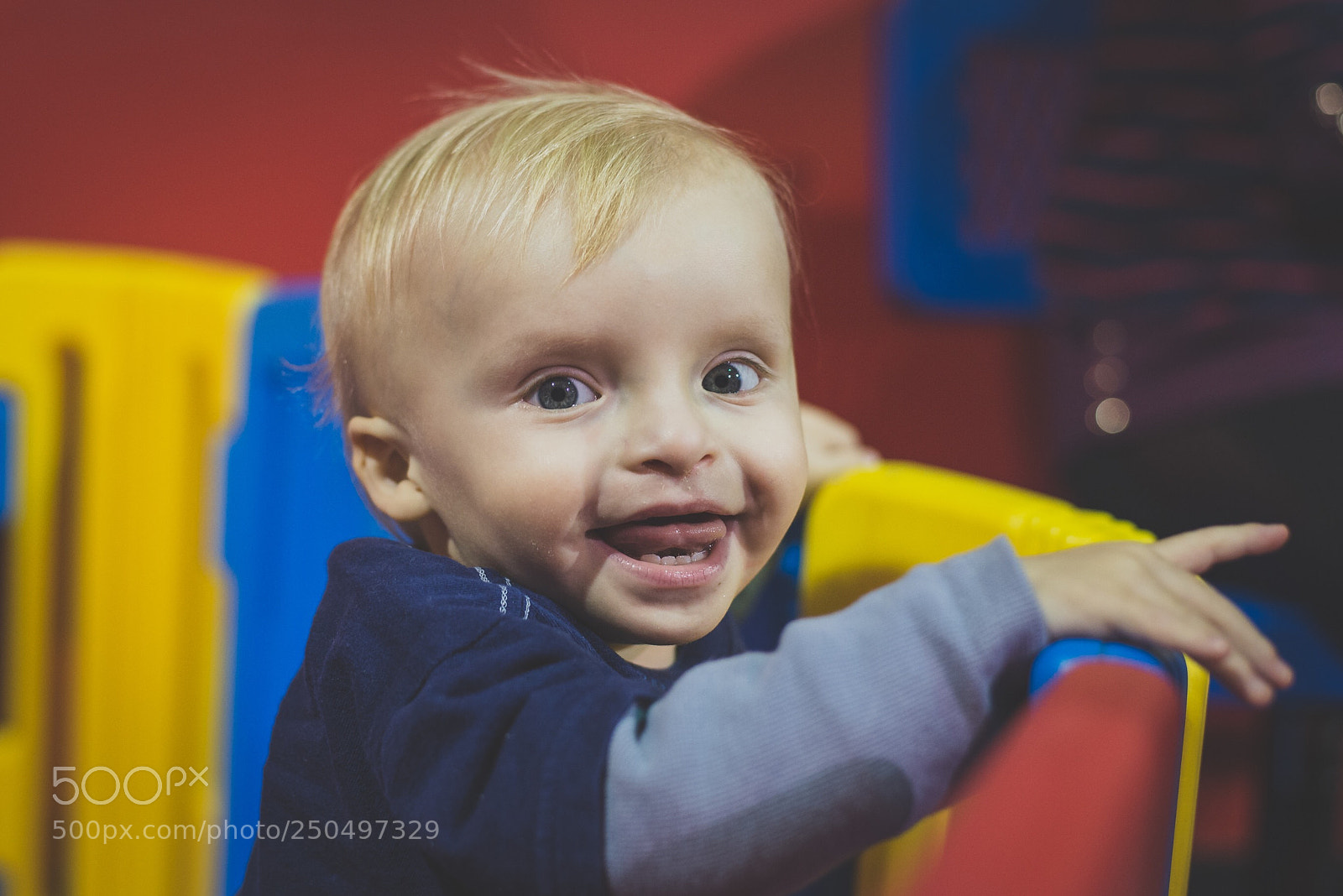 Nikon D610 sample photo. Smart little buddy  photography