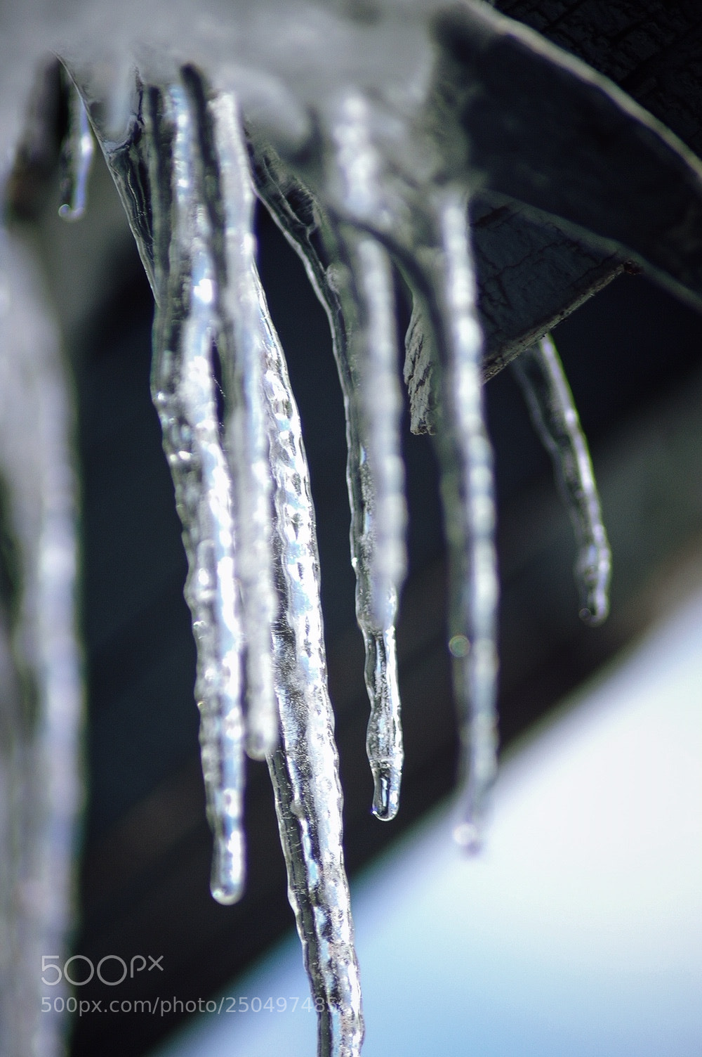 Nikon D70 sample photo. Icicle photography